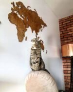 Empty World Map Home Wall Decor Walnut 3