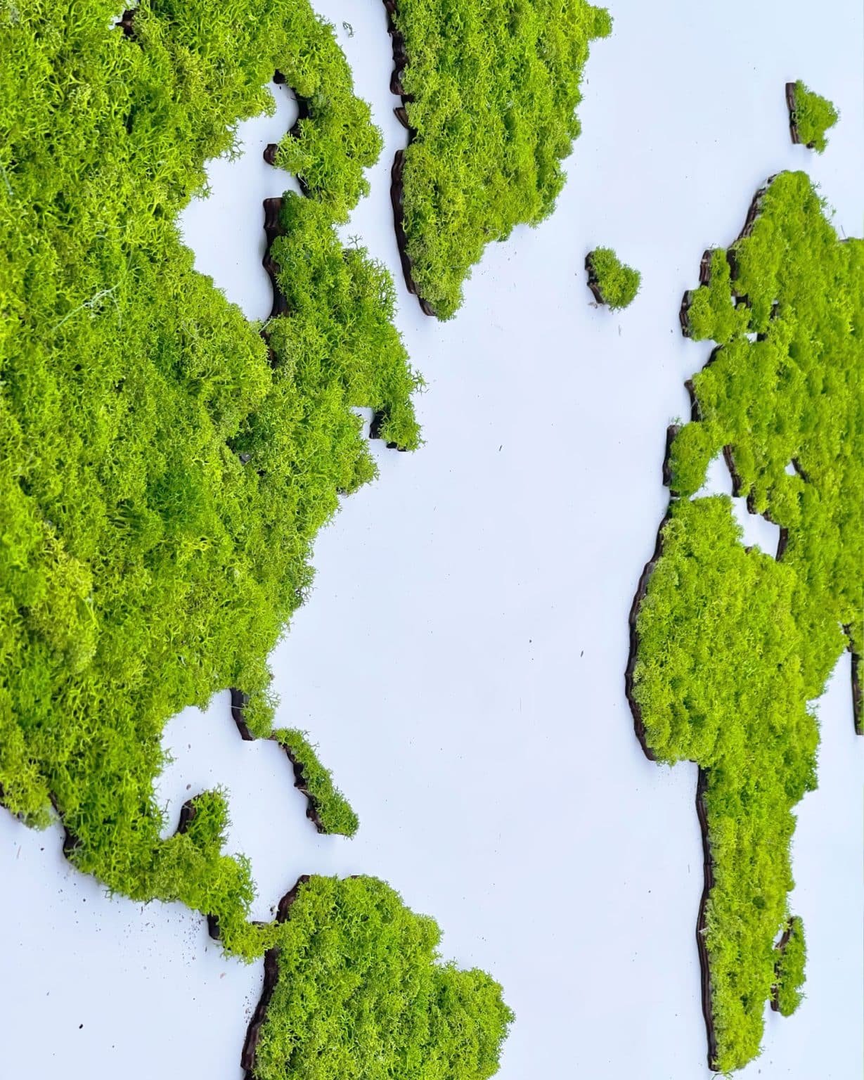 World map of moss cladonia, green map