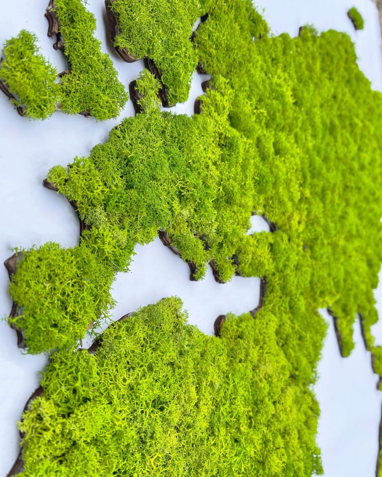 World map of moss cladonia, green map